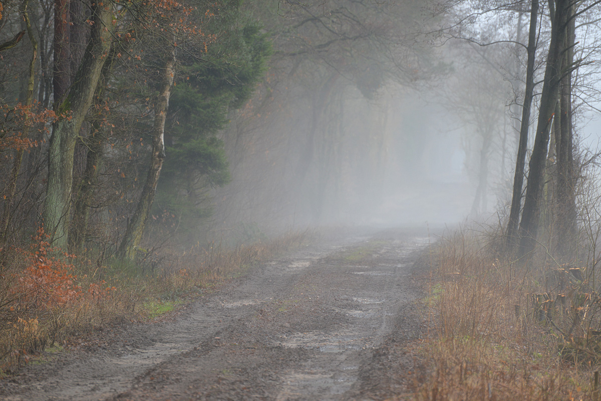 Nebelweg