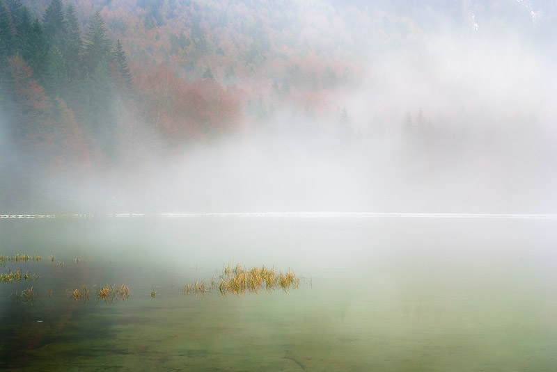 Nebliger Nachmittag am Frillensee, erster Schnee