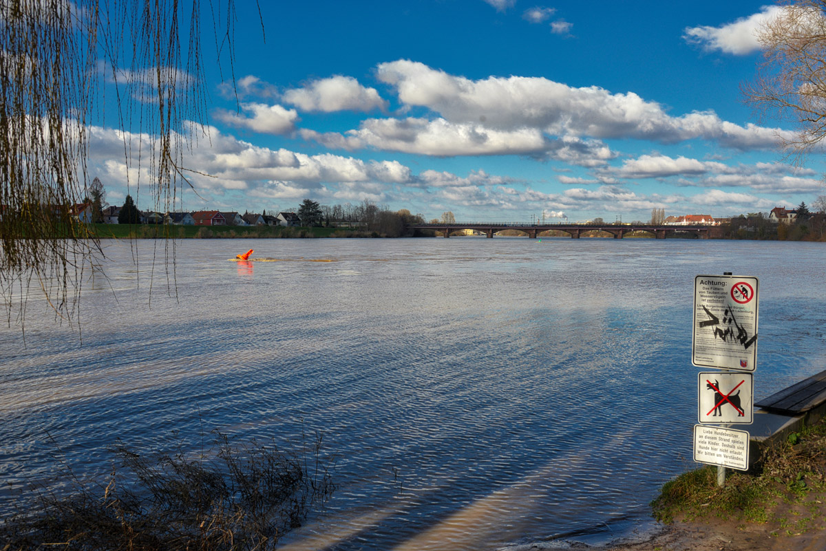 neckar_hochwasser.jpg