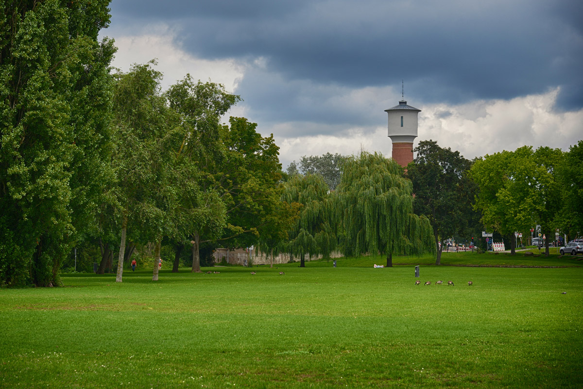 Neckarwiese_ladenburg_1200.jpg