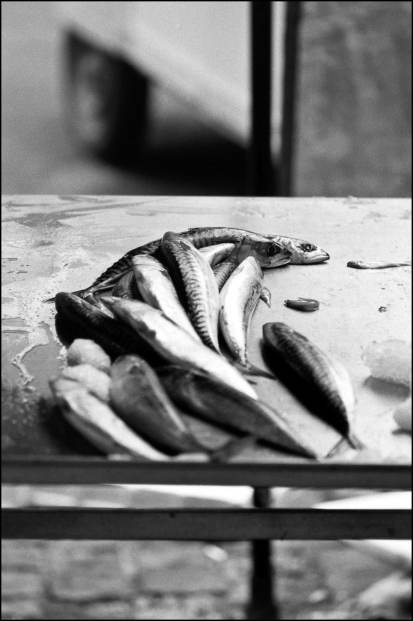 Neg1980 034 2