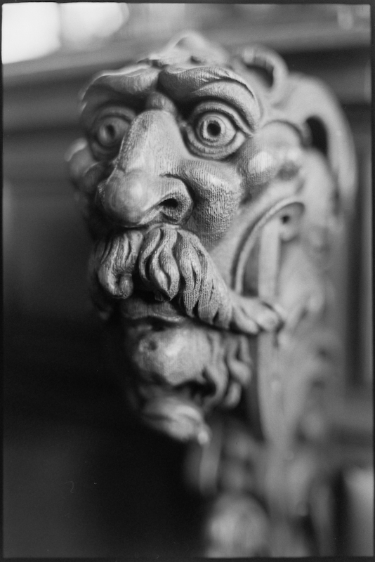 Neg2010 239