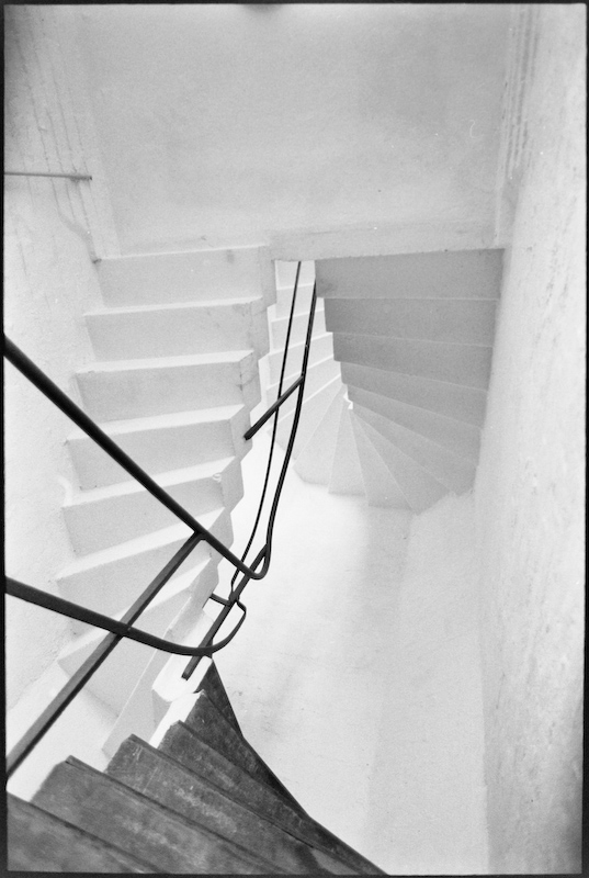 Neg2010 262