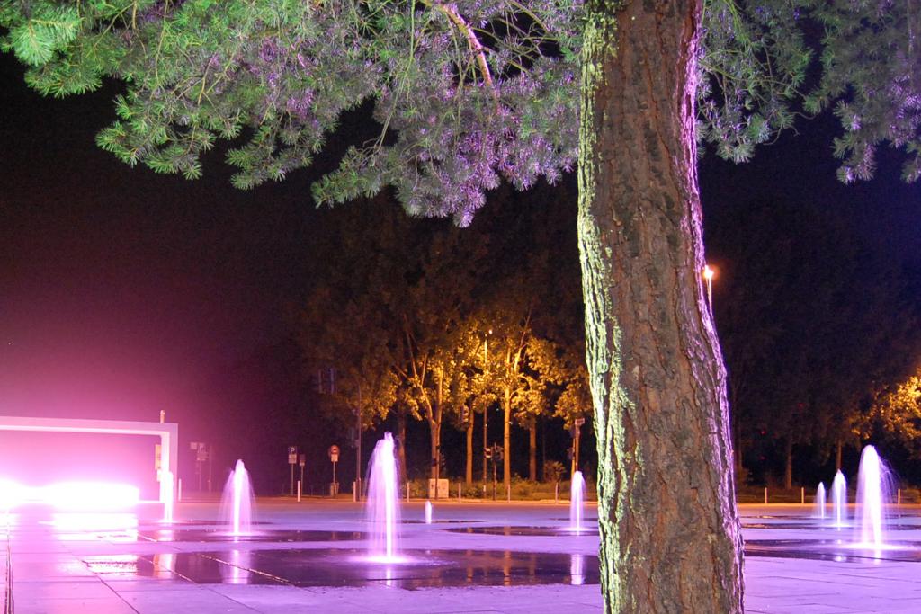 NeonBaum ISO 1600