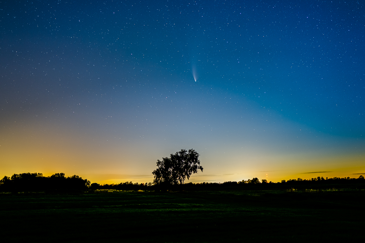 Neowise mit Baum