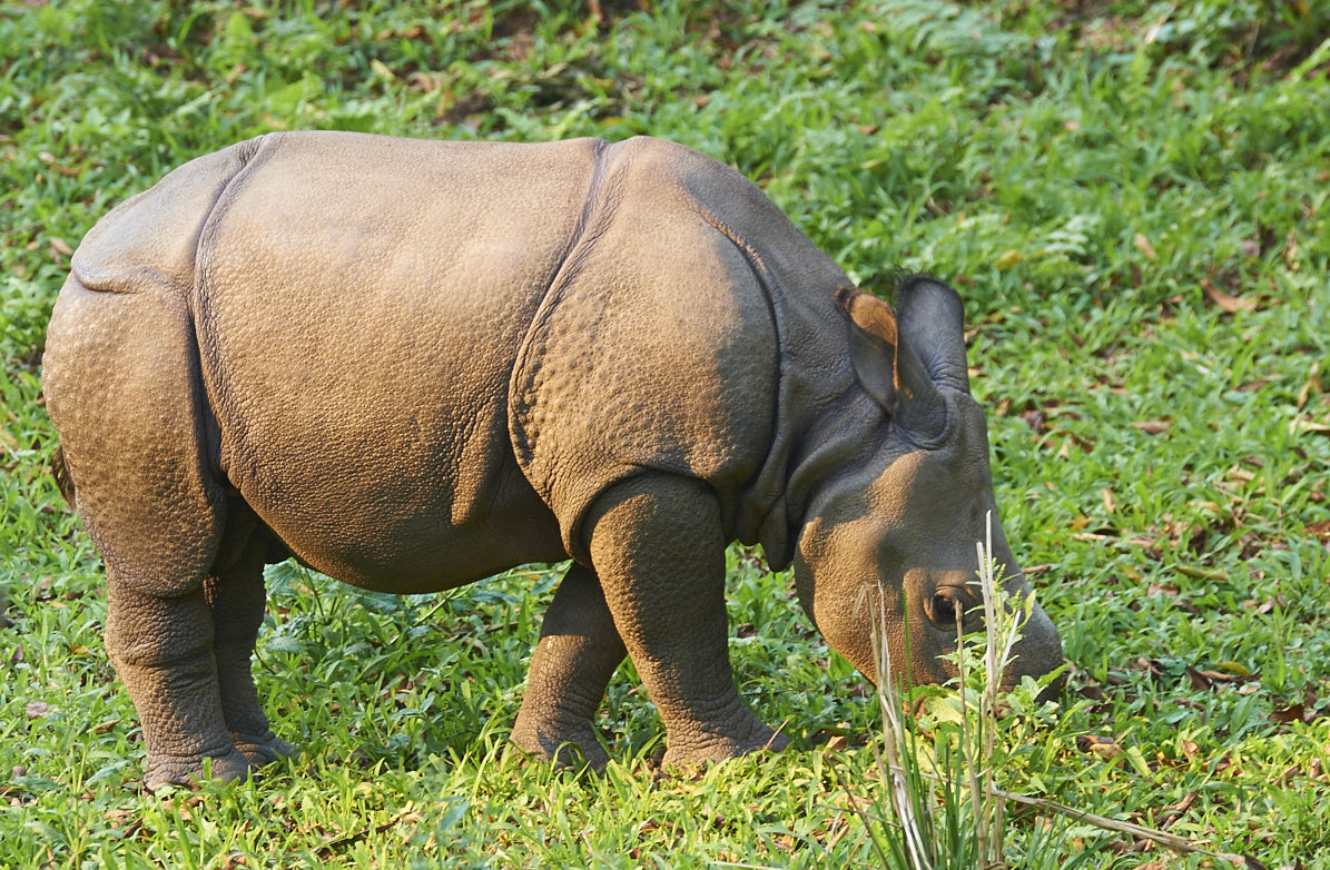 Nepal18 03 16–0059