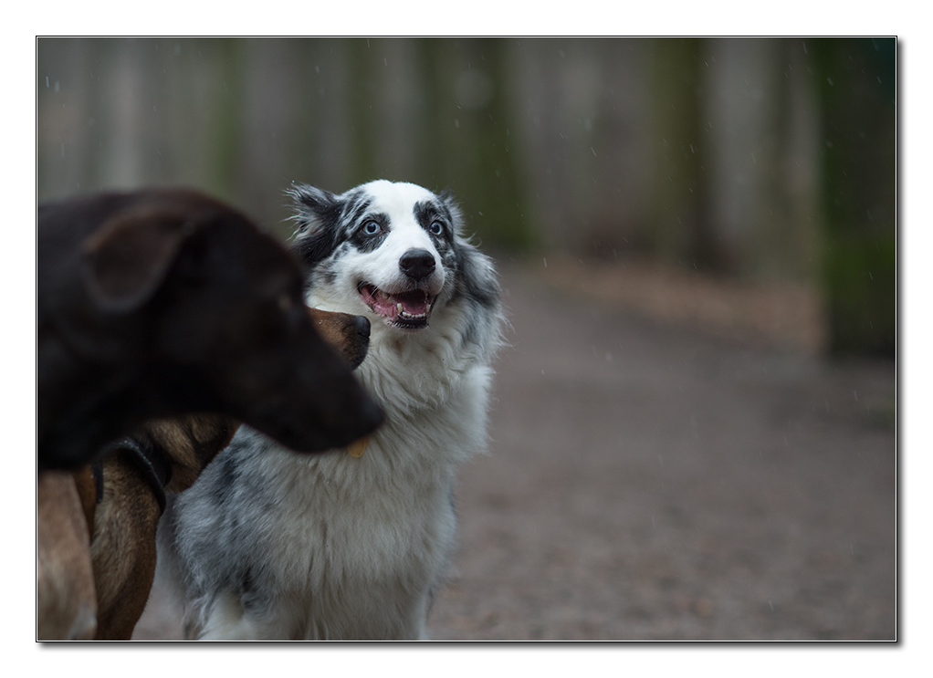 neubeginn sonntag1