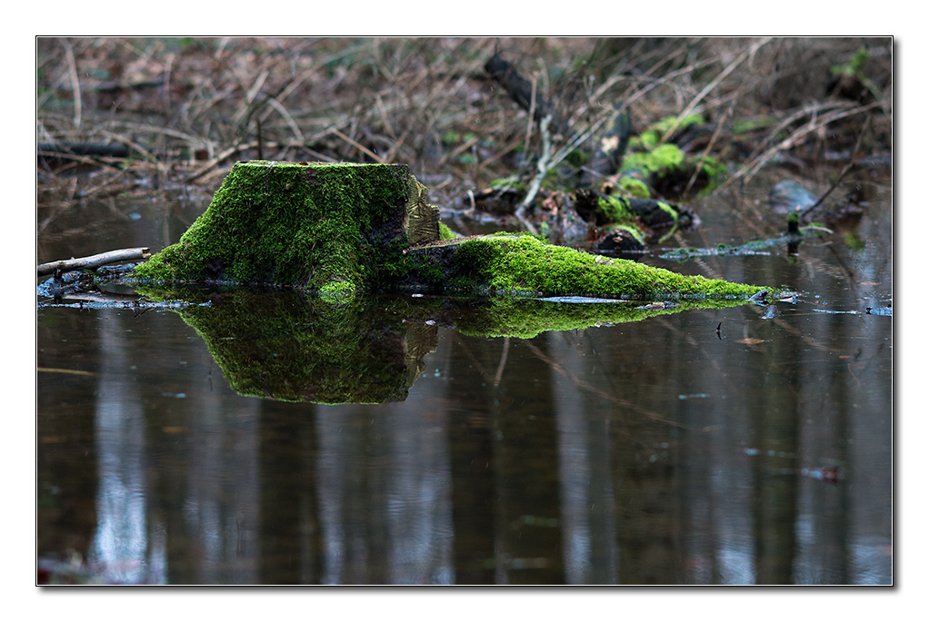 neubeginn sonntag3