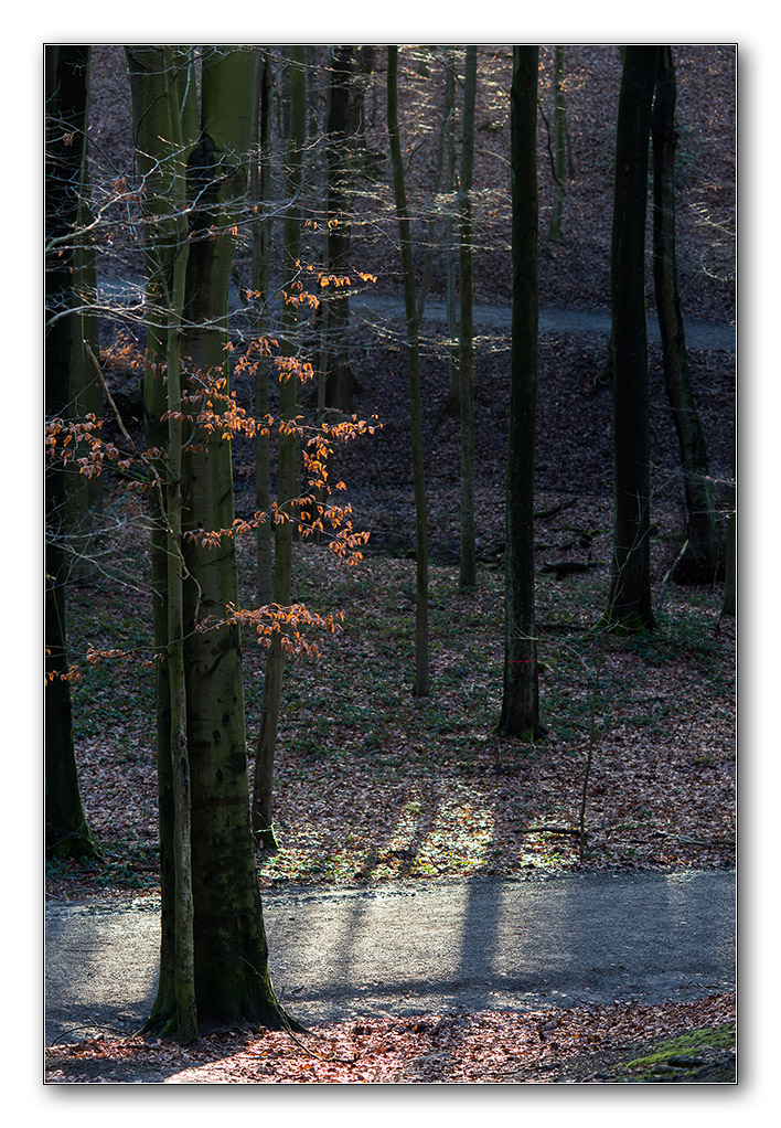 Neubeginn7 2013