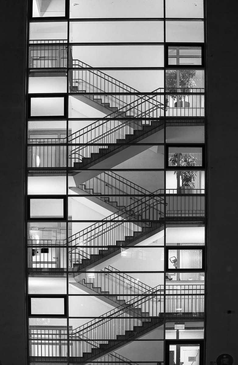 Neuenheimer Feld 084 sw x