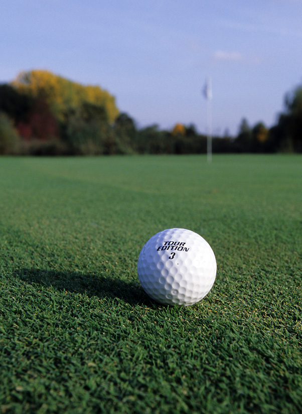 Neulich auf dem Golfplatz