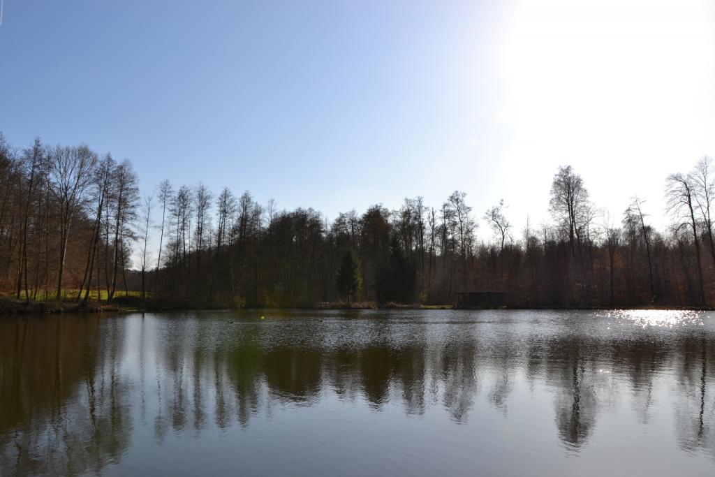 neuneu