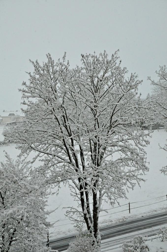Neuschnee im Westerwald (MHX 6989AKUSMx)