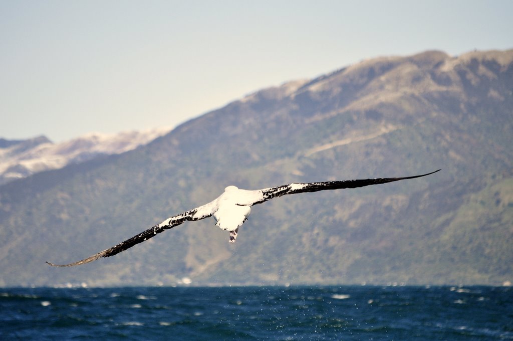 neuseeland 061