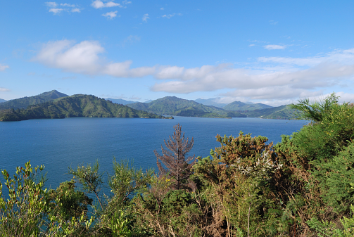 Neuseeland Picton - Nelson