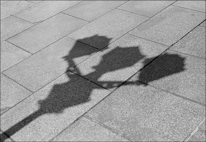 New Daily 20110509 022