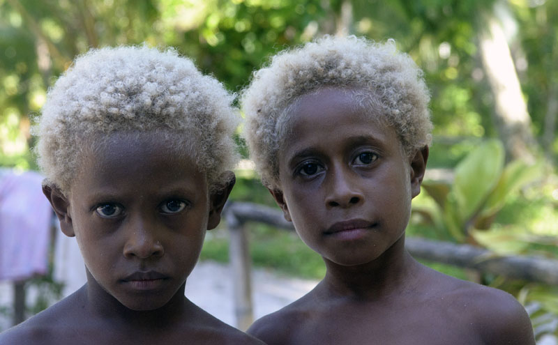 New Ireland Blondies