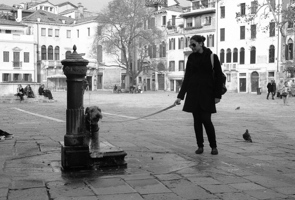 New Venedig 201011 5