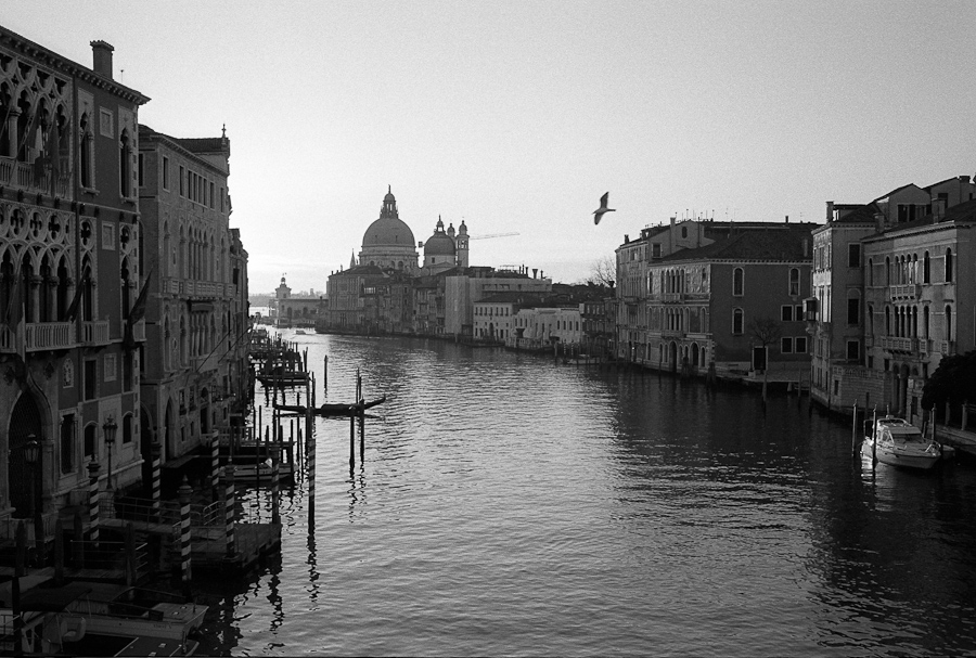 New Venice 20110321 093