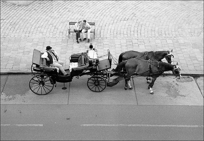 New Wien 20110612 157