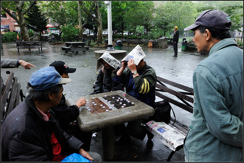new york16