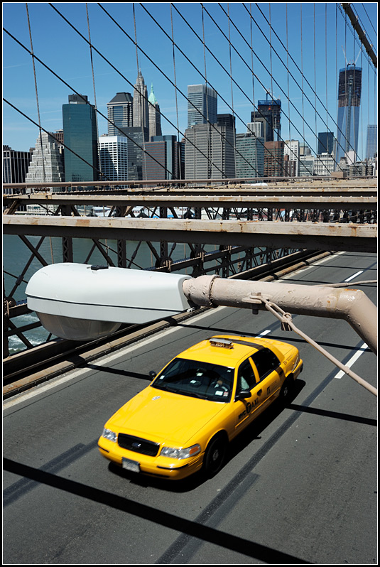 new york19