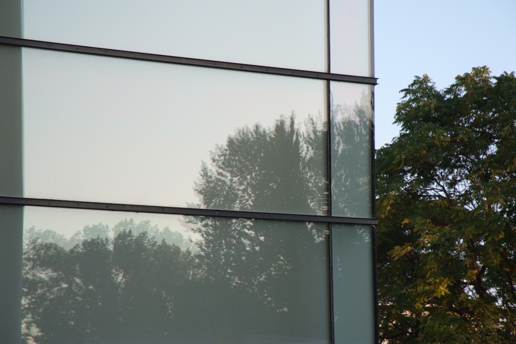 NF B 2009 09 26 18 13 19