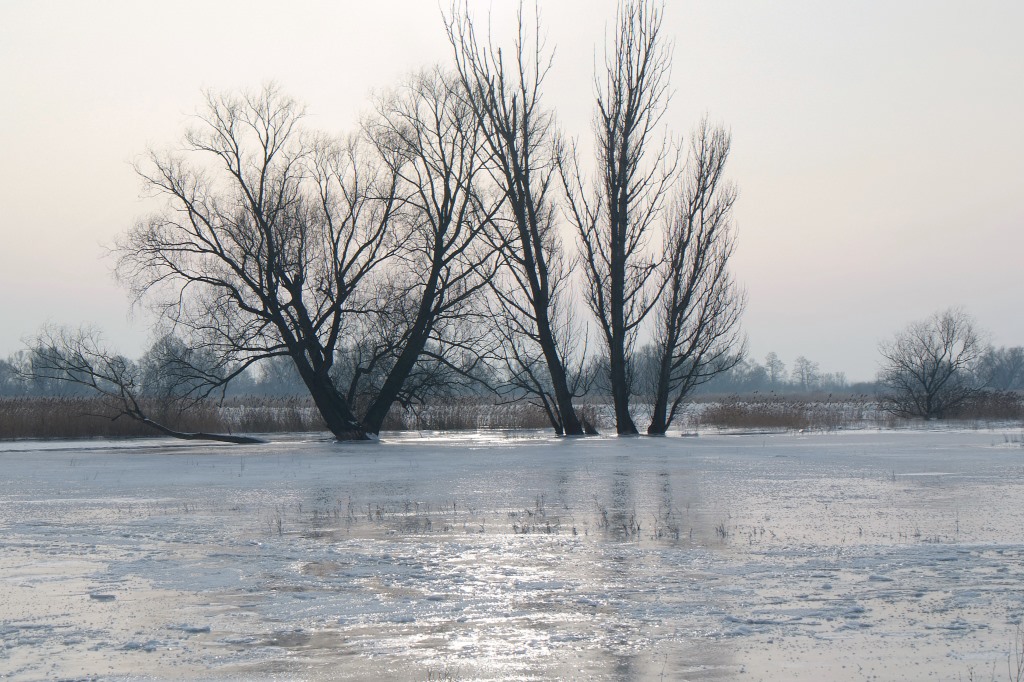 NF B 2010 01 24 10 34 47