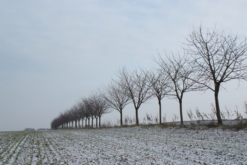 NF B 2010 11 28 13 42 29