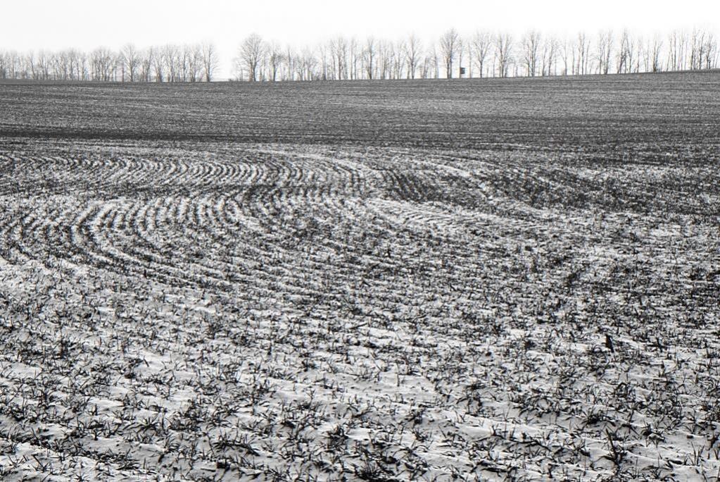 NF B 2010 11 28 15 21 23 sw