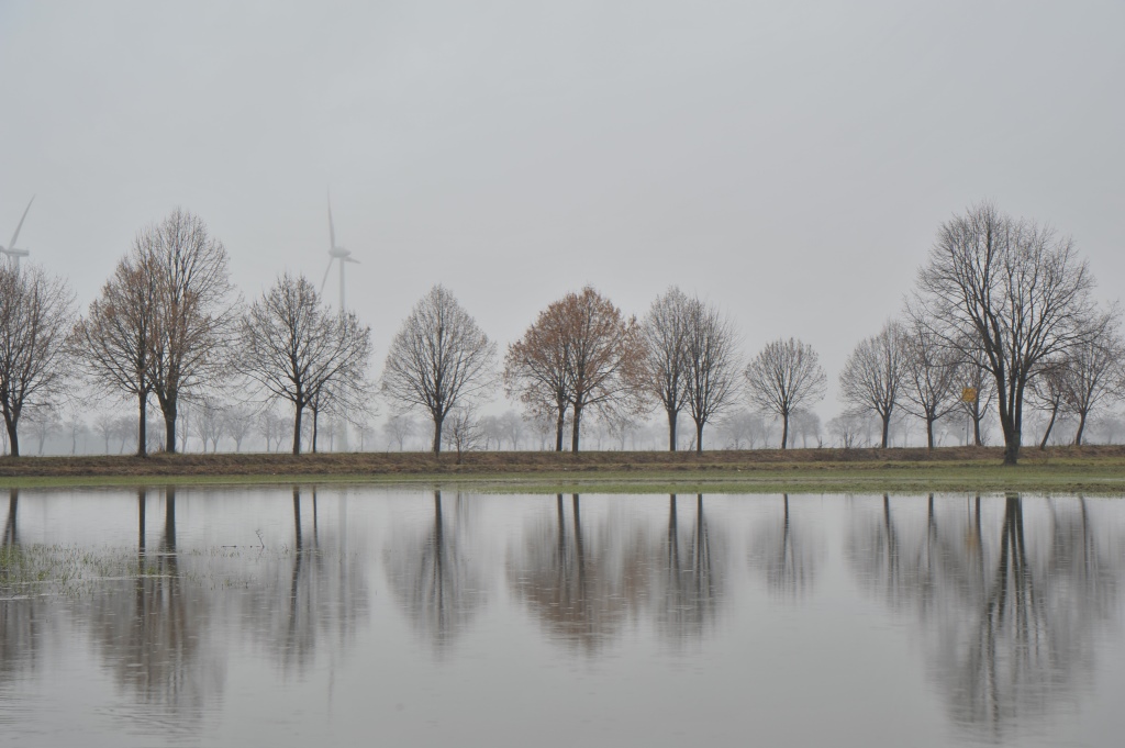 NF B 2011 02 06 14 31 42