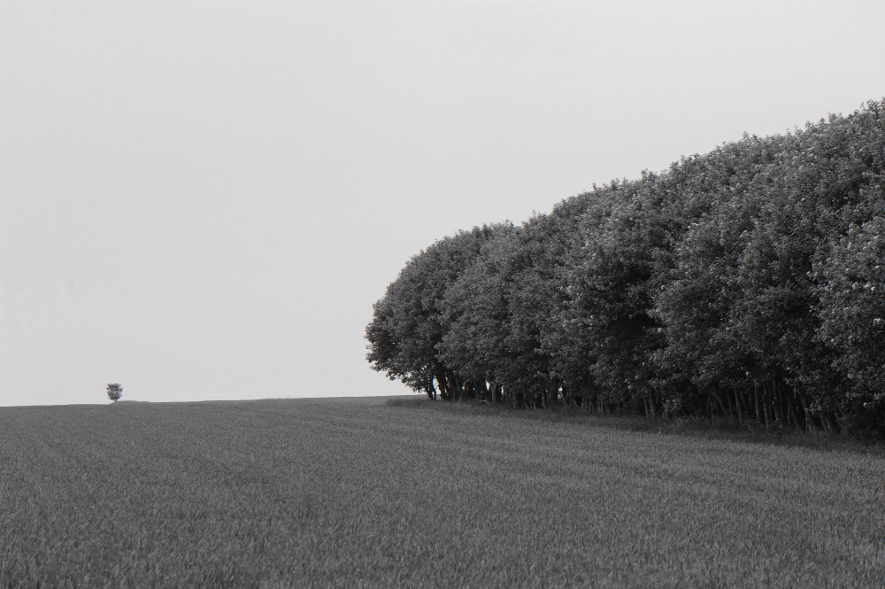 NF B 2011 06 06 14 43 04 04 nx sw