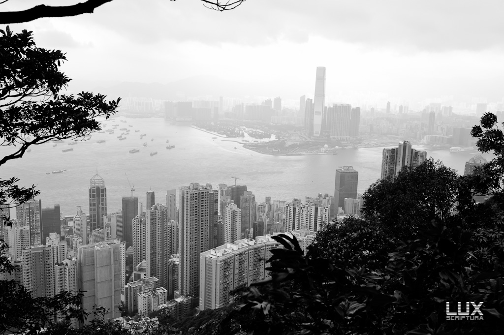 NF Hongkong 12