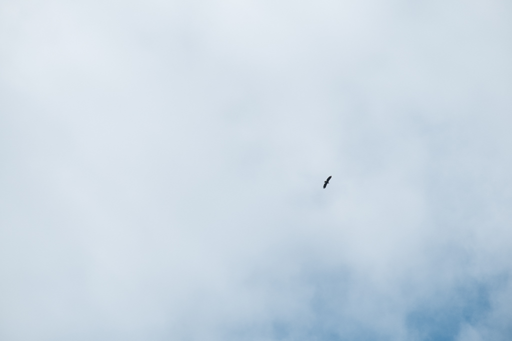 NF Zinnowitz2014 11