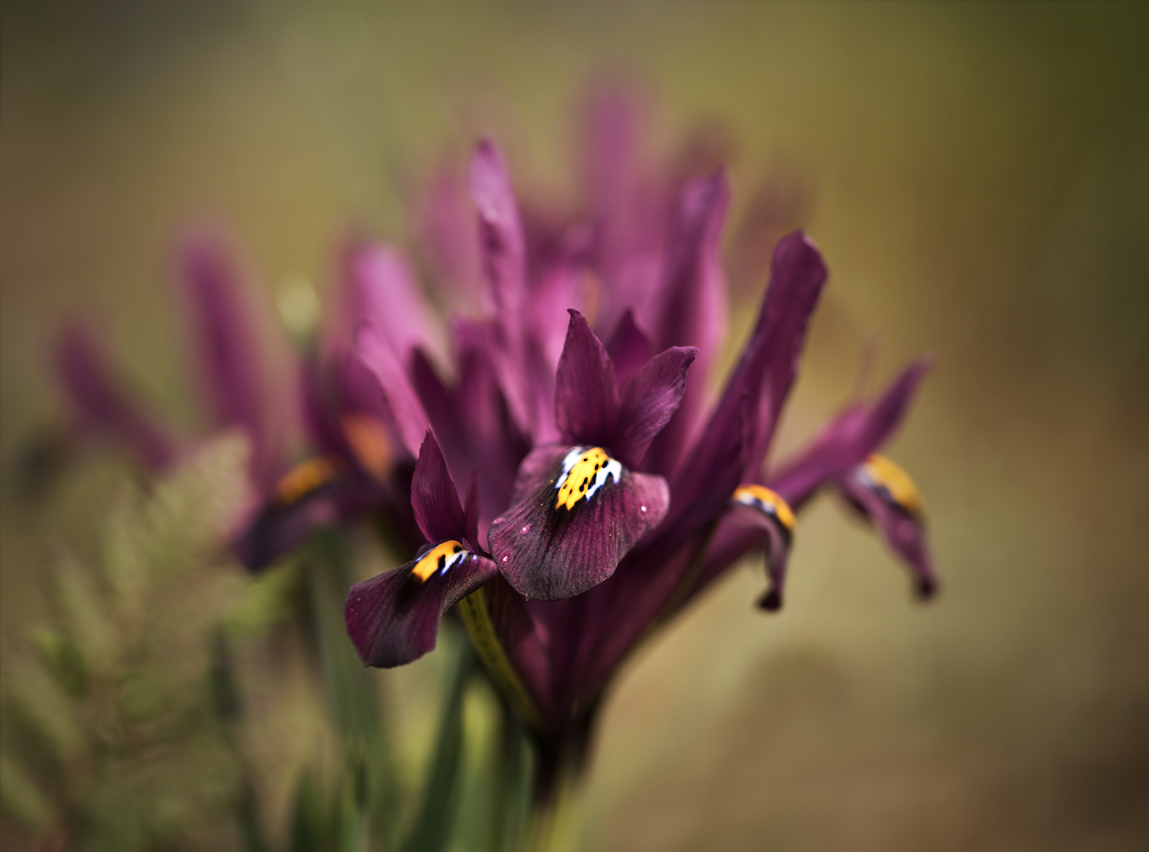 NF_DSC_2359.jpg