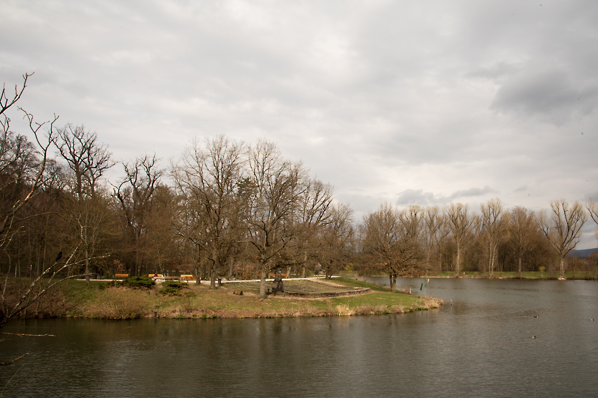NF_DSC_2728.jpg
