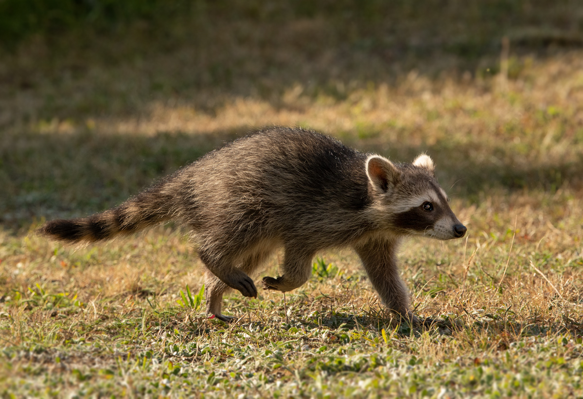 NF_DSC_2751.jpg