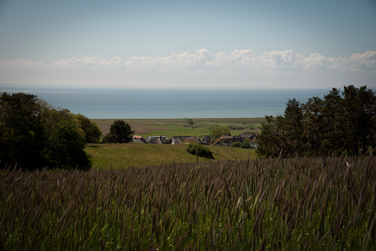 NF_DSC_4066.jpg