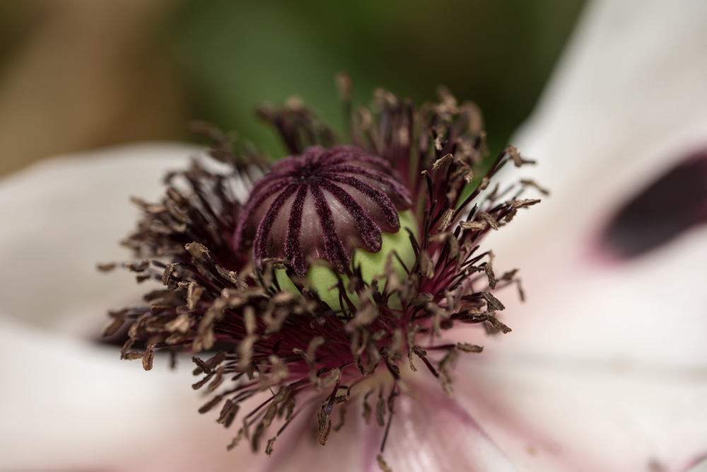 NF_DSC_5038.jpg