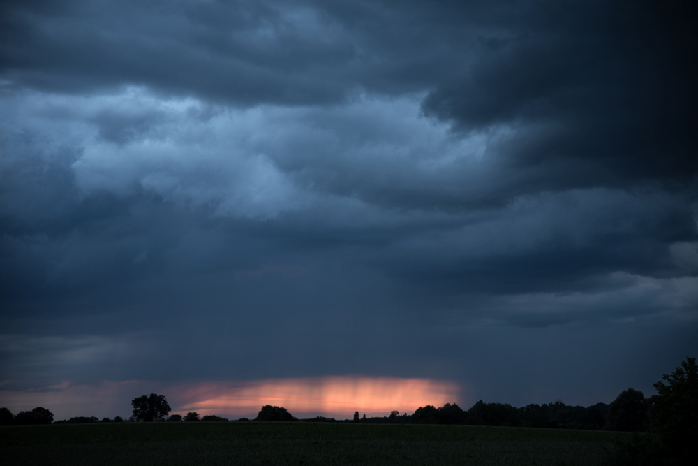 NF_DSC_5275.jpg