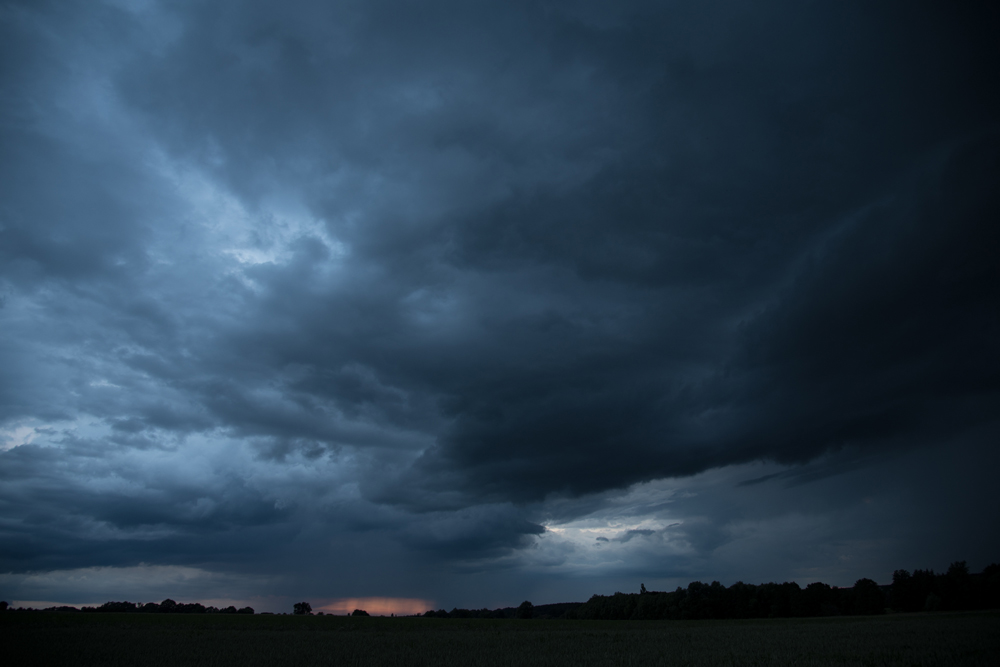 NF_DSC_5279.jpg