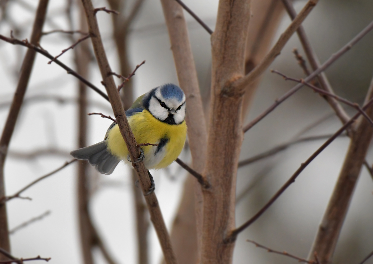 NF_DSC_5746.jpg