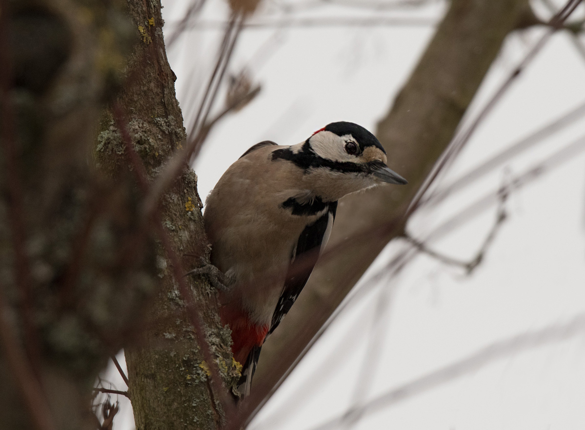 NF_DSC_5752.jpg
