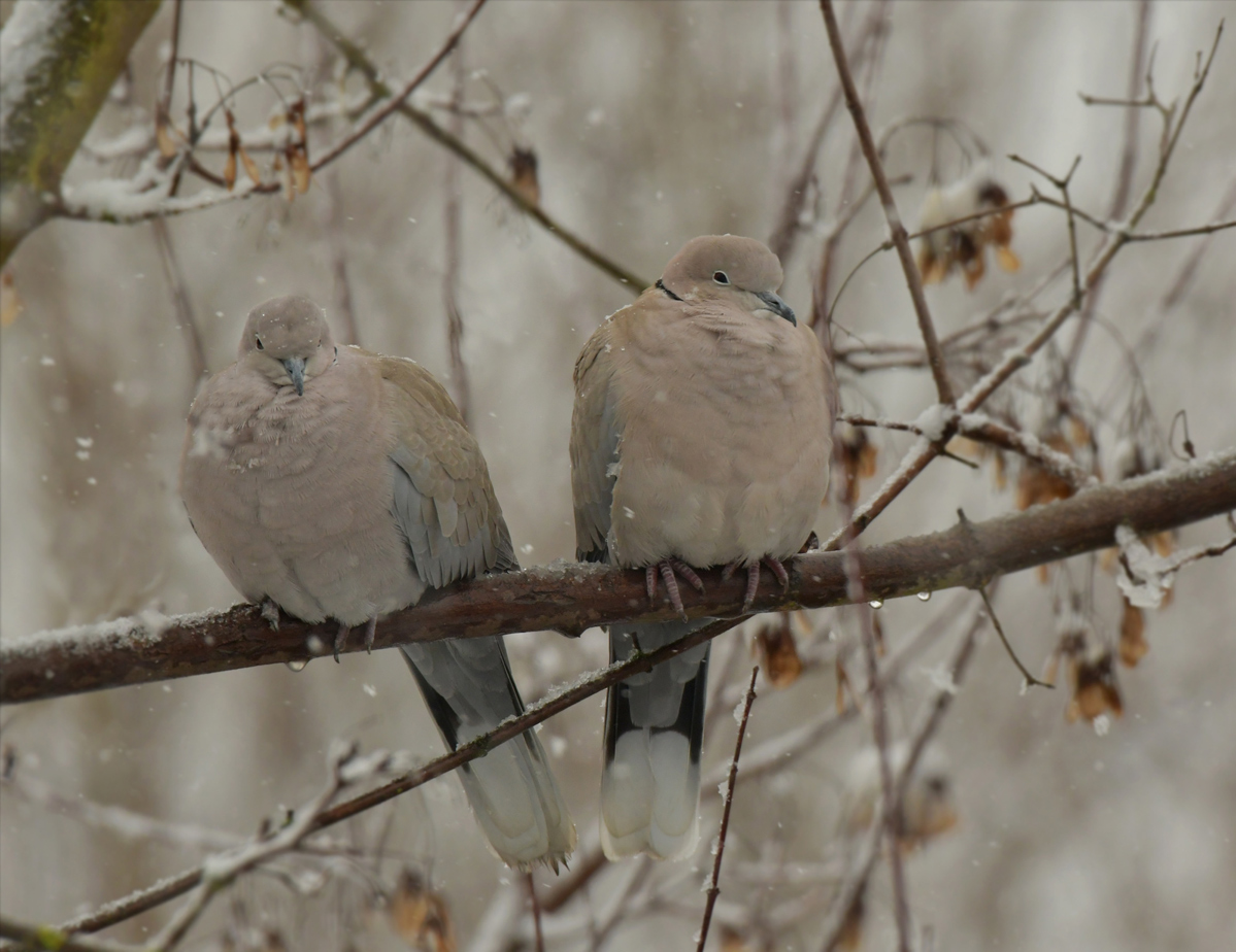 NF_DSC_5855.jpg
