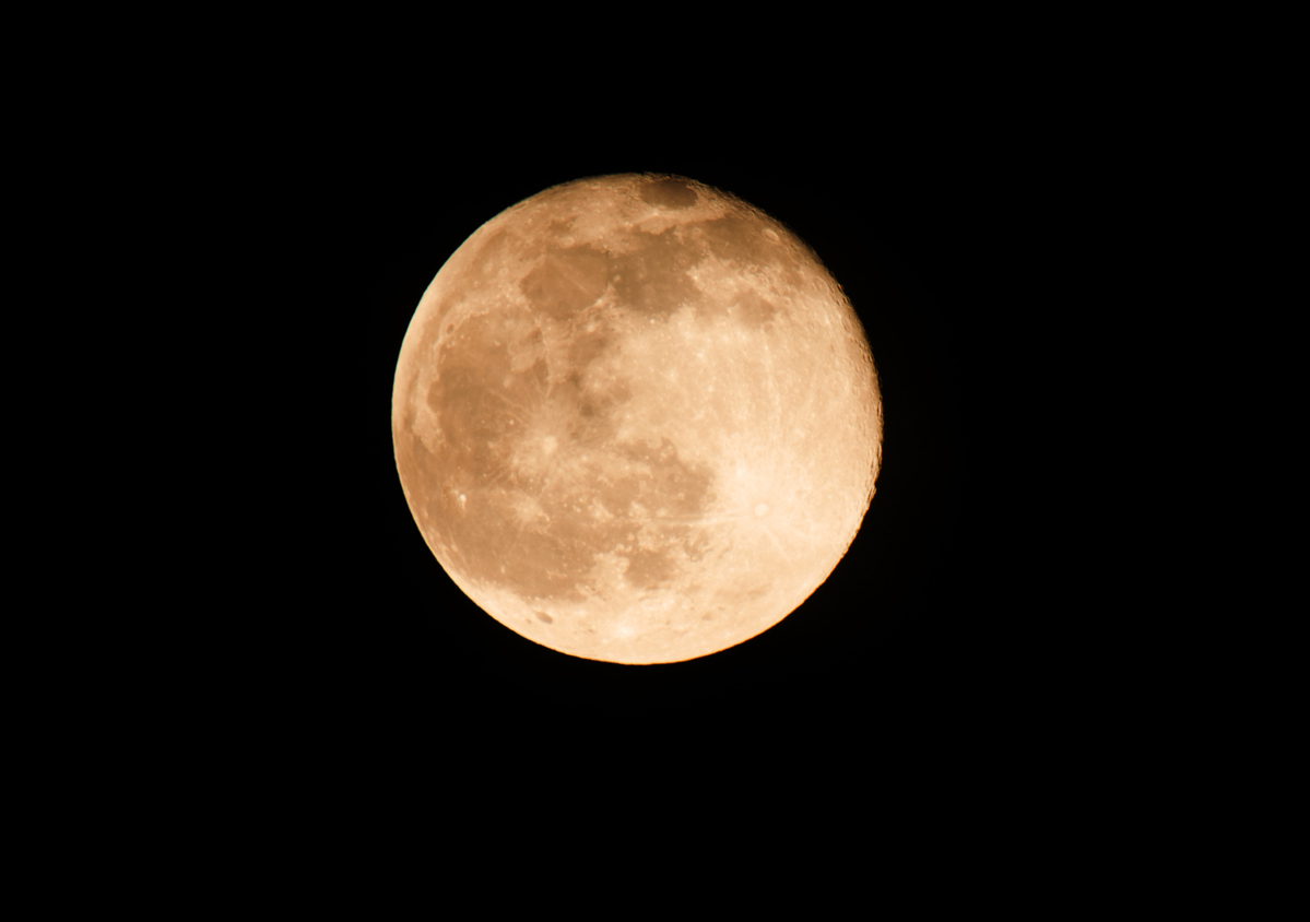 NF_DSC_5976.jpg