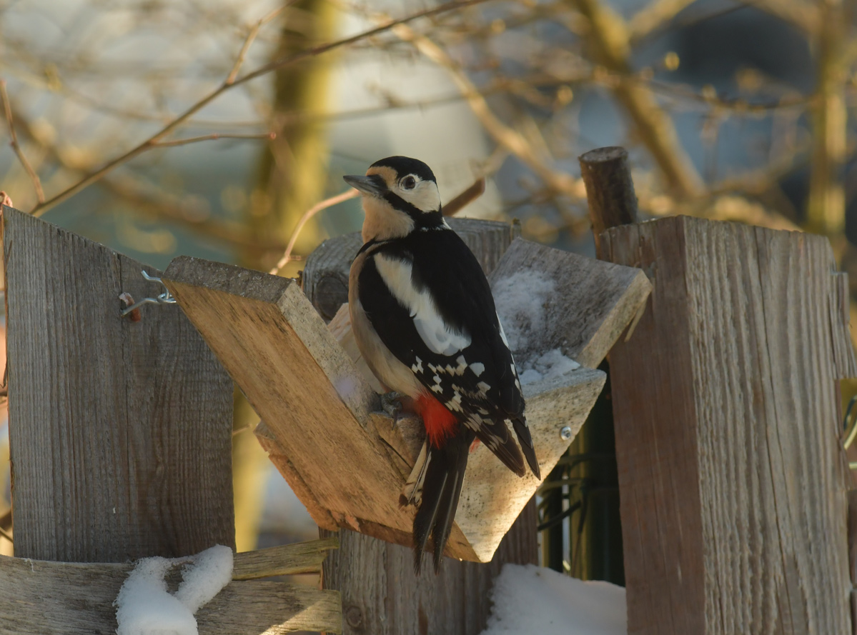 NF_DSC_6333.jpg