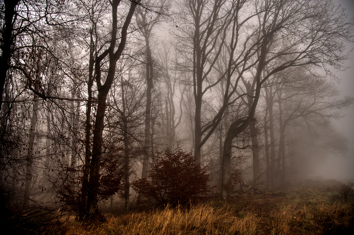 NF_Ebrach_Rundweg_Nummer4_1204.jpg