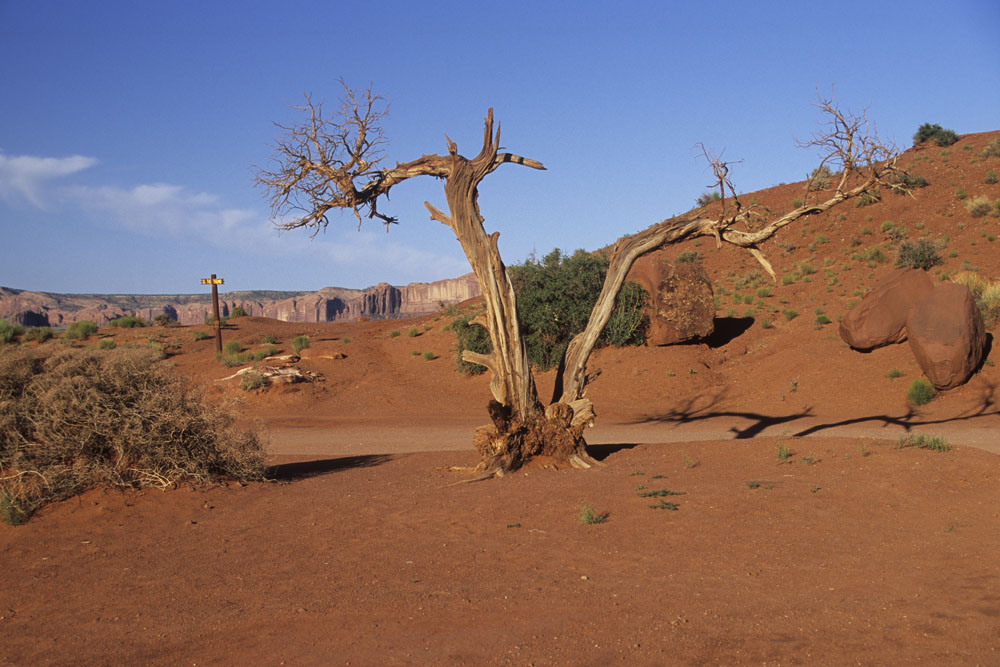 NFF 002 MONUMENT VALLEY