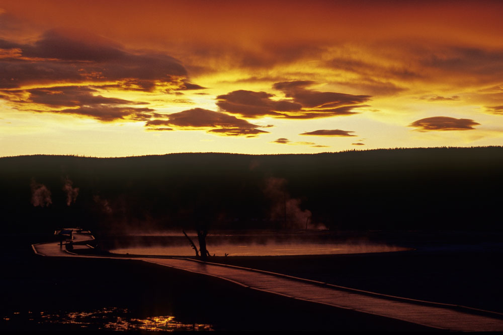 NFF 004 YELLOWSTONE
