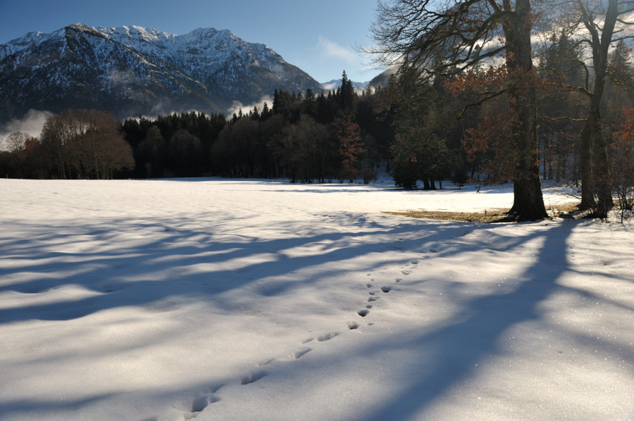 NFF 20081224 130740 Graswangtal Linderhof